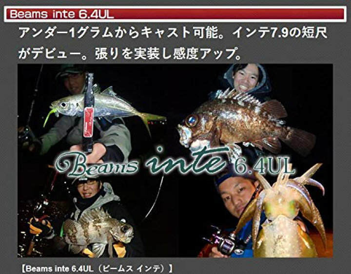 楽天市場】フィッシュマン Fishman Beams inte 6.4UL : ワールドプラス 