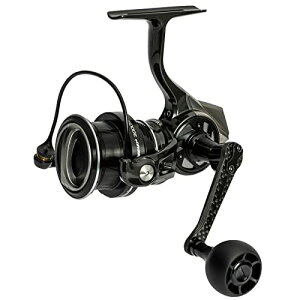 �A�u�K���V�A(Abu Garcia) �X�s�j���O���[�� ���{ SP �r�[�X�g 3000SH