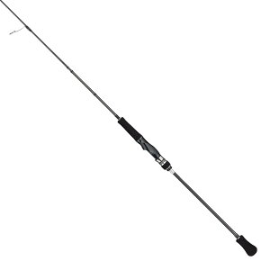 �e�C���E�H�[�N(Tailwalk) L�W�M�[�Y SSD S6400/FSL