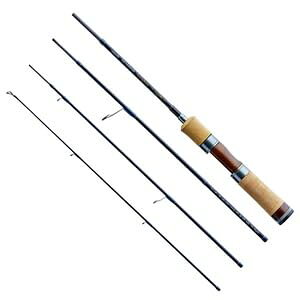 Rayz integral RZI484S-UL