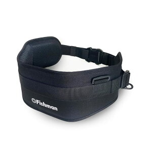 FISHMAN(tBbV}) ACC-9 Q[xXg ubN t[