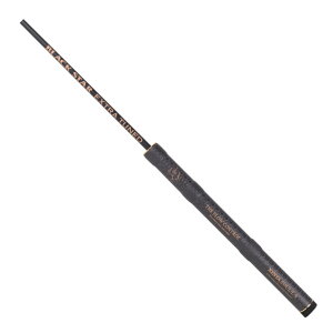 �[�X�^(Xesta) BLACK STAR EXTRA TUNED (�u���b�N�X�^�[ �G�N�g���`���[���h) S55UL/L-S THE FLOW CONTROL