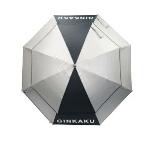 GLOBERIDE(�O���[�u���C�h) GINKAKU BIG �p���\��100 G-217 �V���o�[