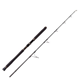 PENN (ペン) SLAMMER JIGGING スラマー ジギング SLJS-53XH オフショア マグロ ヒラマサ 青物