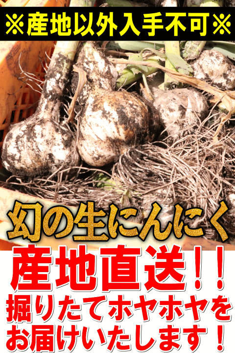 楽天市場】予約 青森県産 幻の生にんにく 1kg【国産 にんにく】【青森