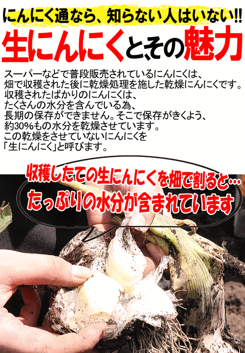 令和7年　青森県　生にんにく20Kg MS 青森県産訳あり熟成発酵黒にんにく 500g｜ファミリー・ライフ公式通販