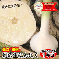 楽天市場】青森 新 にんにくの通販