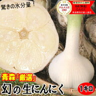 199円引きクーポン！【予約】青森県産 幻の生にんにく 1kg【国産 にんにく】【青森 ニンニク】【青森 に…