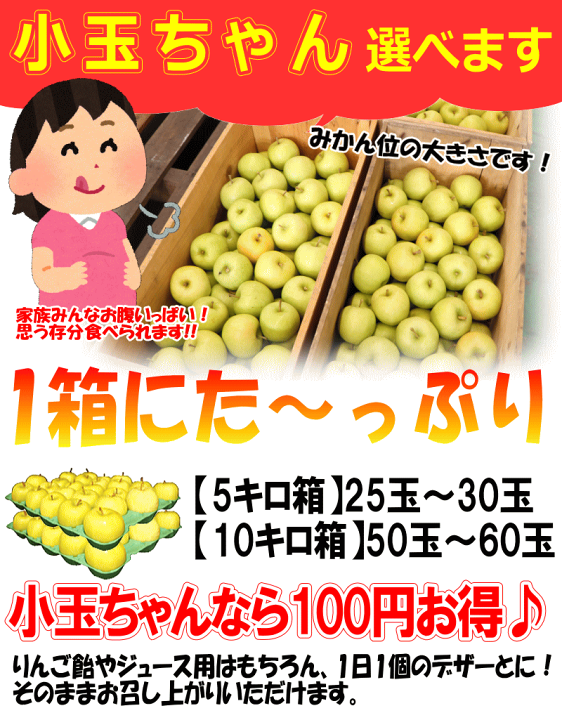 楽天市場】青森 りんご 10kg・5kg・3kg箱 ぐんま名月 訳あり/家庭用
