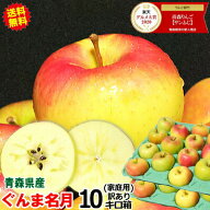 【早割クーポンで500円引き】青森 りんご 10kg箱ぐんま名月 訳あり/家庭用【送料無料】【りんご 訳あり 1…