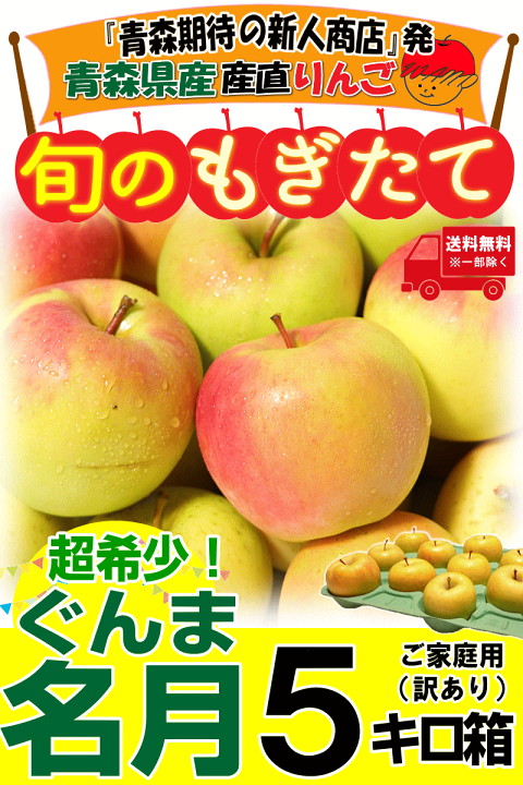 楽天市場】【即日発送】青森 りんご 5kg箱ぐんま名月 訳あり/家庭用