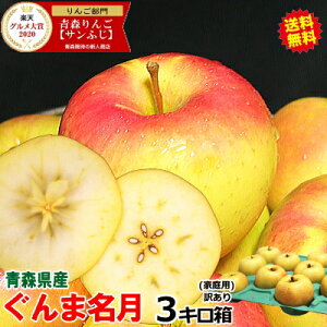 99円引きクーポン!【予約】青森 りんご ぐんま名月 3kg箱 ご家庭用/訳あり【送料無料】大小様々【青森 リンゴ 林檎 訳あり お試し 名月 3キロ箱 自宅用 家庭用 果物 フルーツ 人気 売れ筋】