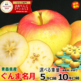 【即日発送中】青森 りんご ぐんま名月 10kg・5kg・3kg箱から選べる ご家庭用/訳あり【送料無料】旬シリーズ【青森 リンゴ 林檎 訳あり お試し 名月 10キロ箱 自宅用 家庭用 果物 フルーツ 人気 売れ筋】【2590円～】★選べる重量 名月 家訳