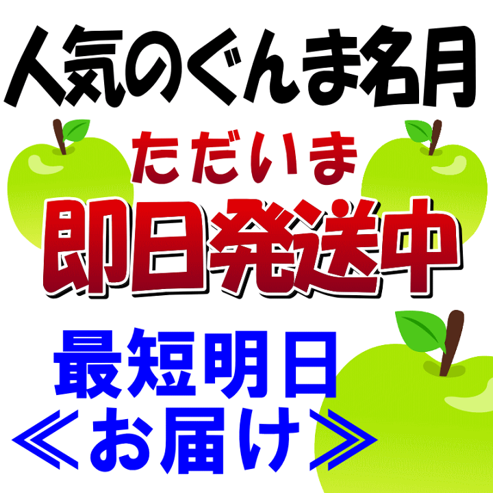 楽天市場】【即日発送】青森 りんご 5kg箱ぐんま名月 訳あり/家庭用