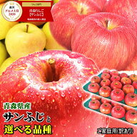 青森 りんご 5kg・10kg箱 サンふじと名月はじめ選べる品種 家庭用/訳あり【クール対応 / 常温送料無料】…