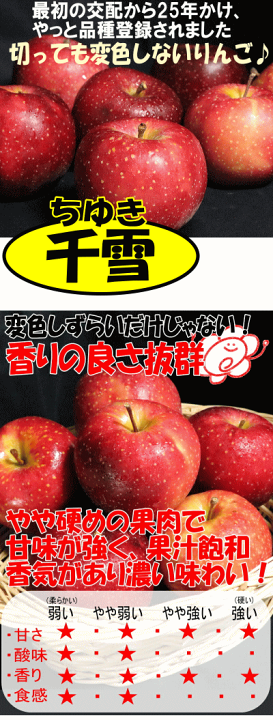 りんご様　まとめ割500円引き 楽天市場】【即日発送】青森 りんご 5kg箱 訳あり/ご家庭用 大玉厳選 8
