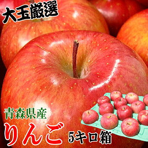 yzX  5kg 󂠂/ƒp ʌI 8ʁ`10ʁTӂ͂ߕiIyTӂ  gL P VimXC[g S[h zy 󂠂 5kg zy