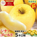 【あす楽】青森 りんご シナノゴールド 5kg箱 家庭用/訳あり【クール便送料無料】青森 りんご シナノゴールド 5キロ箱【りんご 訳あり】【りんご 訳あり 5kg箱 自宅 送料無料】大小様々 3980円★Sゴールド 家訳 5kg箱