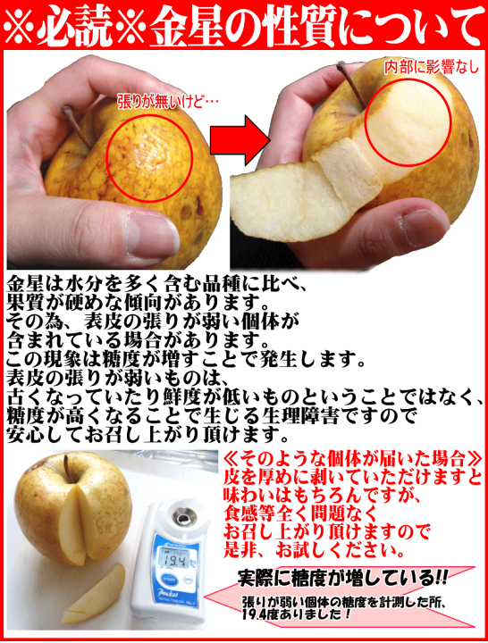 楽天市場】クーポンで500円引き☆【あす楽】青森 りんご 10kg箱