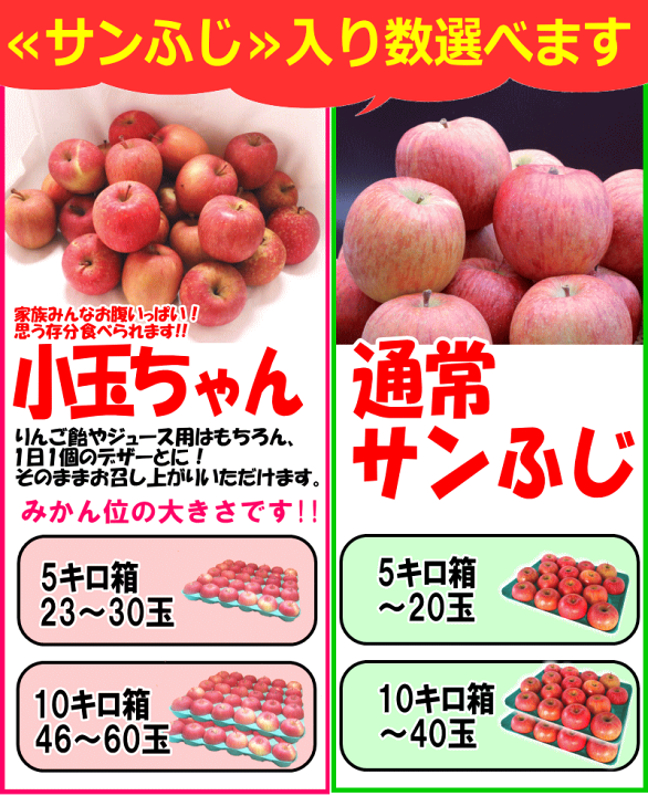 楽天市場】最大1000円引きクーポン あす楽 青森 りんご 5kg箱