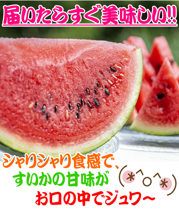農薬＊除草剤＊化学肥料不使用 愛媛県産大玉スイカ　祭りばやし　大玉7kg 朝獲り！鳥取県産大玉スイカ1玉(7kg以上）：鳥取県産の祭ばやし