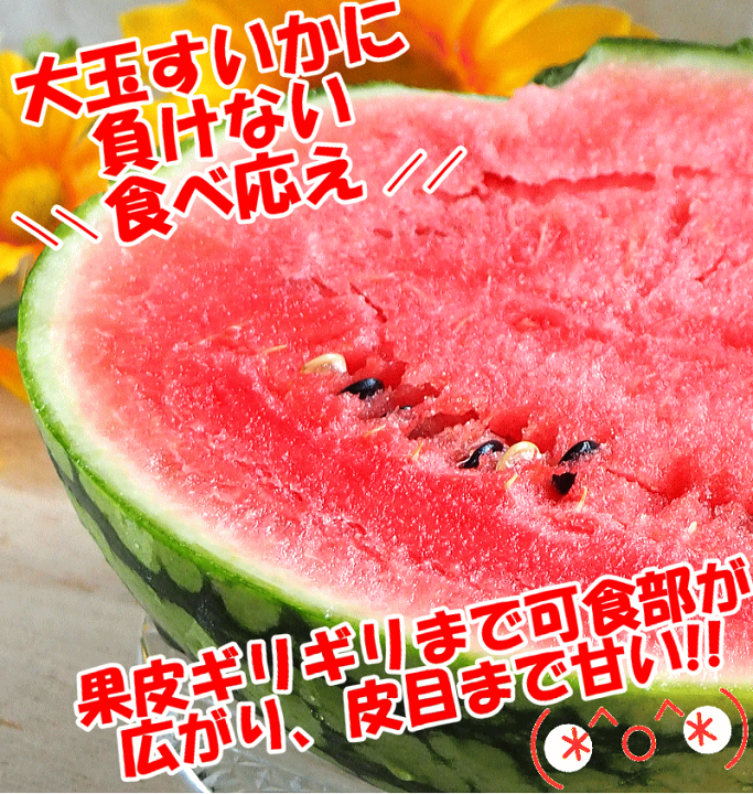 楽天市場】クーポンで800円引き！熊本県産 すいか ひとりじめ