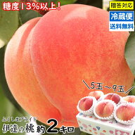 早割4280円！糖度13％以上！桃 あかつき 訳あり ではない【予約】桃 福島 約2kg 5玉～9玉伊達のもも 約2k…