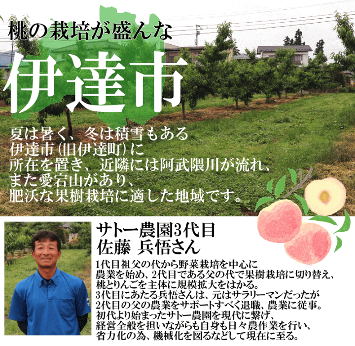 楽天市場】【発送中】冷蔵送料無料 福島 桃 2kg 5玉～9玉 完熟 もも