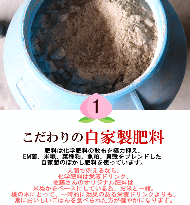 楽天市場】発送中☆冷蔵送料無料 福島 桃 2kg 5玉～9玉 完熟 も