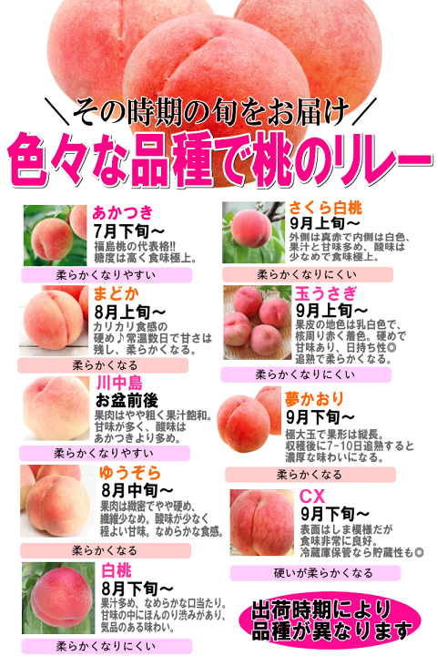 楽天市場】発送中☆冷蔵送料無料 福島 桃 2kg 5玉～9玉 完熟 も