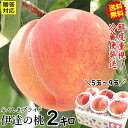 【発送中】冷蔵送料無料 福島 桃 2kg 5玉～9玉 完熟 もも【優秀品】贈答用糖度13％以上 momo 夏ギフト キャップ モールド桃 2kg 訳ありでない ご家庭用にも 福島 モモ お中元 御中元 果物 お取り寄せ フルーツ 贈答 momo 日付要望◎3980円