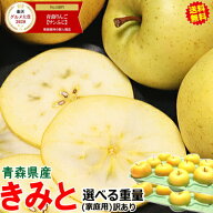 【最大600円引き実施中】即日発送！青森 りんご ふじから生まれた きみと 10kg/5kg/3kg/2kg 家庭用/訳あ…