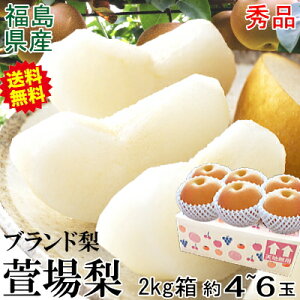 2w5kgŔz  Ȃ 2kg 4ʁ`6 Gi Mtg 󂠂ł͂Ȃyz yuh  ꗜziV Ln܂郊[ 쐅 Â V H Ȃ  