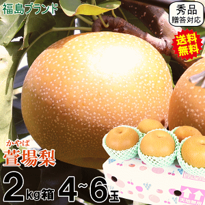 2w5kgŔz  Ȃ 2kg 4ʁ`6 Gi Mtg 󂠂ł͂Ȃyz yuh  ꗜziV Ln܂郊[ 쐅 Â V H Ȃ  