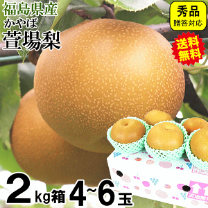 xĂ߂ˌhVMtg 2w5kgŔz   iV 2kg 4ʁ`6 Gi Mtg 󂠂ł͂Ȃ  yuh  ꗜziV Ln܂郊[ 쐅 Â 