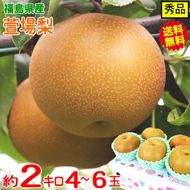 梨 福島 5kg 訳あり ではない 幸水 あきづき 秋月 南水 豊水 5キロ 5kg箱 2kg箱 新高 王秋2kg箱 4玉～6玉福島の萱場梨【甘い！大きい！みずみずしい　】【梨 訳あり ではない】【福島 萱場梨】果物 旬 フルーツ 2980円