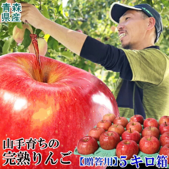 楽天市場】【12/15から出荷!!】青森 りんご 贈答用 5kg箱 【送料無料 