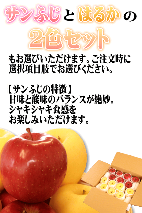 楽天市場】【あす楽】青森 りんご 贈答用 はるか 5kg箱 【送料無料