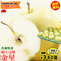楽天市場】金星（りんご｜フルーツ・果物）：食品の通販