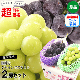シャインマスカット限定お徳用品になります。 ぶどう 2025年 先行予約 ご家庭用 シャイン マスカット 2房 1房