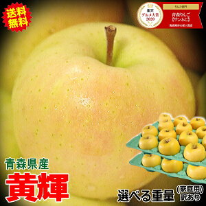 yz{̂ā X  P 3kgE5kgE10kg ƒp/󂠂yzʌׁyX S ь 󂠂  3L 5L 10L  ƒp ʕ t[c