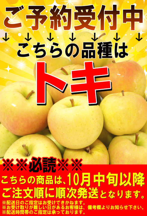 専用10キロ、りんご10キロ ☆9/28まで 10%OFFクーポン配布中☆／【即日発送実施中！】産地