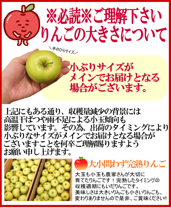 楽天市場】【即日発送】旬のもぎたて♪ 青森 りんご 10kg箱 訳あり