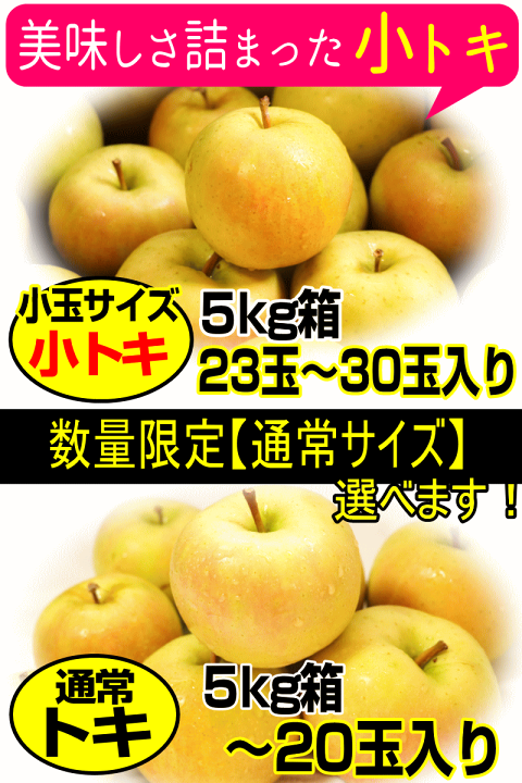 楽天市場】【最終セール】即日発送 青森 りんご 5kg箱 訳あり/ご家庭用
