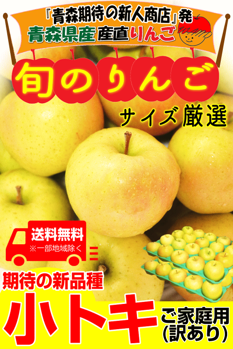 楽天市場】【最終セール】即日発送 青森 りんご 訳あり/家庭用 5kg