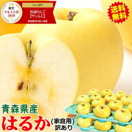 お試し価格！幻のりんご 青森 りんご はるか 2kg/3kg/5kg/10kg箱 家庭用/訳あり【送料無料】青森 りんご …