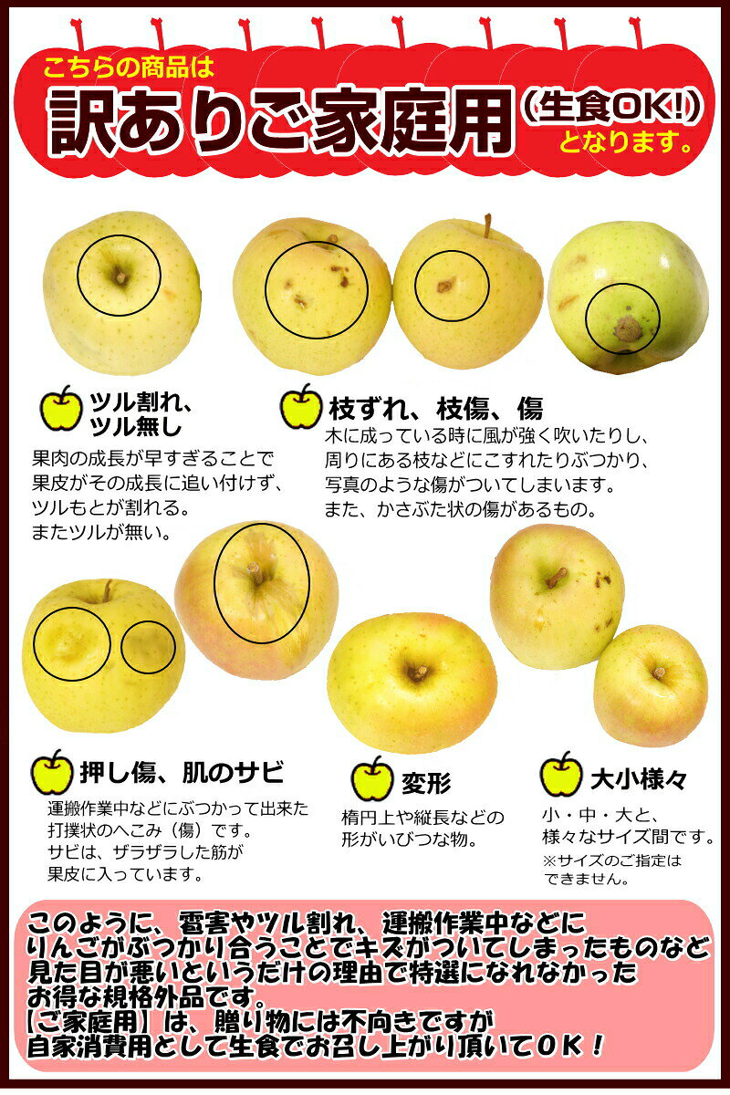 最終セール!青森 りんご サンふじ 10kg/5kg/3kg/2kg 家庭用/訳あり【クール対応 / 常温送料無料】青森 りんご 選べる10キロ 5キロ 小玉 格安【青森 りんご】【りんご 訳あり 10kg】大小様々 1840円~【家庭用訳あり】★選べる重量と小玉 サンふじ 家訳 - メイン画像 14