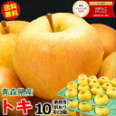 【予約】旬のもぎたて♪ 青森 りんご トキ 10kg箱 ご家庭用/訳あり【送料無料】サンふじと王林の交配品種♪【青森 リンゴ 林檎 訳あり お試し トキ 10キロ箱 自宅 家庭用 果物 フルーツ】【3980円】★トキ 家訳 10kg箱