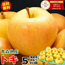 【予約】旬のもぎたて♪ 青森 りんご トキ 5kg箱 ご家庭用/訳あり【送料無料】サンふじと王林の交配品種★【青森 リンゴ 林檎 訳あり お試し トキ 5キロ箱 自宅 家庭用 果物 フルーツ】【2980円】トキ 家訳 5kg箱