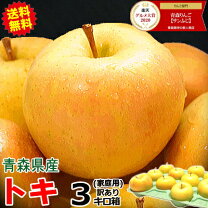 楽天市場】りんご 訳あり 3kgの通販